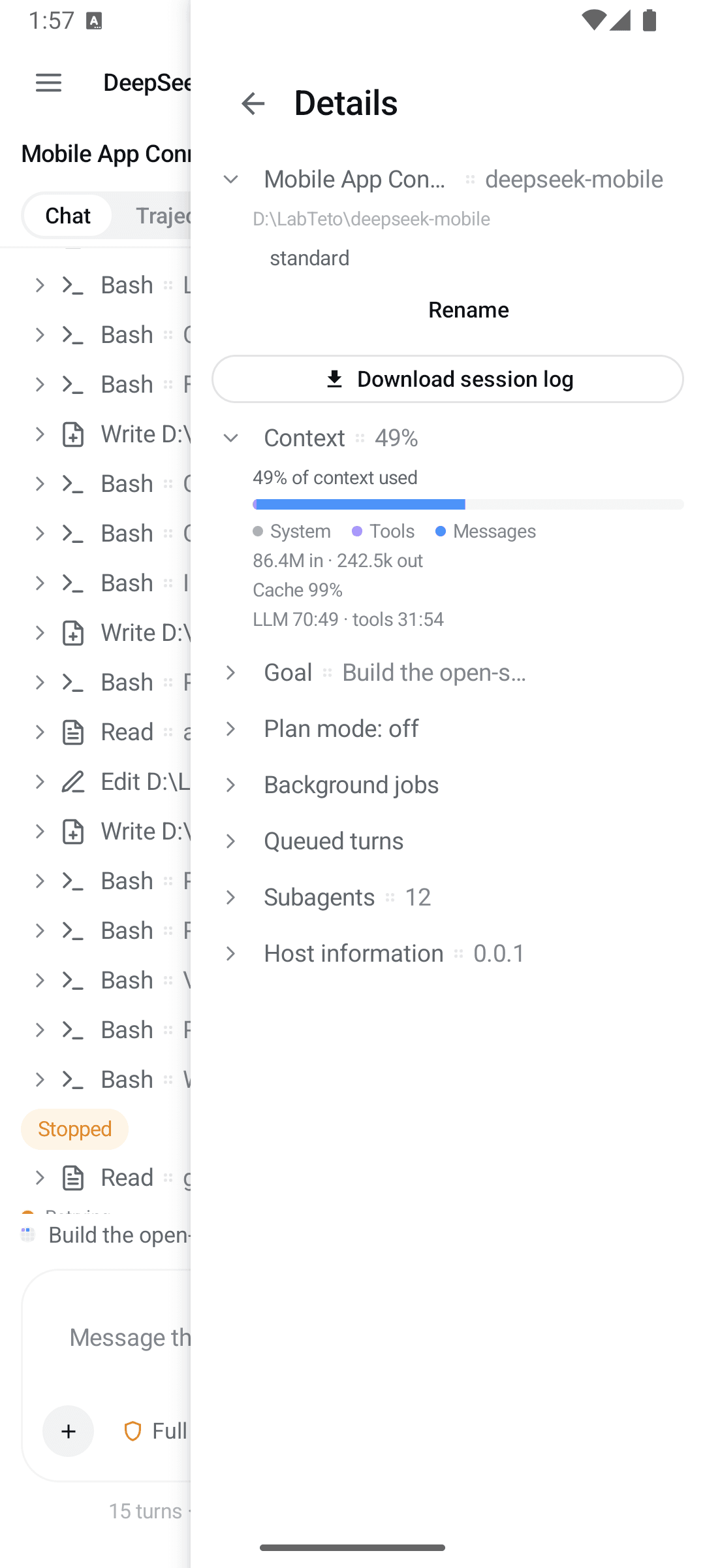 DSH Mobile details panel: context breakdown, goal, plan mode, jobs, queue, subagents, host information